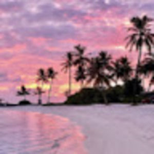 Meet your Posher, Irena